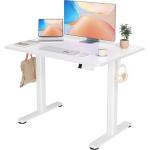 Adjustable Electric Standing Desk with Cable Management
