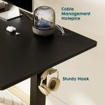 Smug 40-Inch Electric Adjustable Height Standing Desk