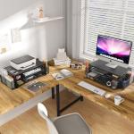 OPNICE 2-Tier Desk Organizer with Monitor Stand