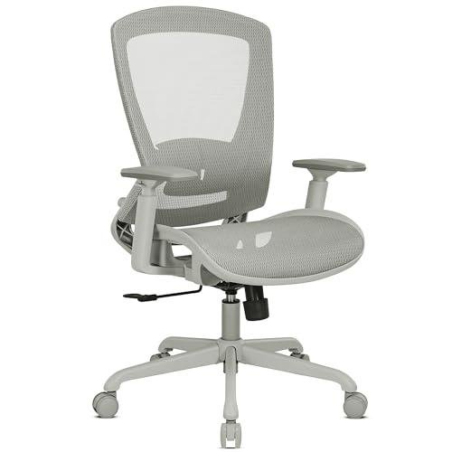 Mesh Office Chairs