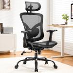Marsail Ergonomic Mesh Office Chair with Lumbar Support