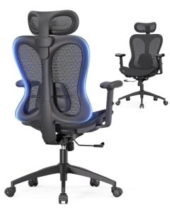 Ergonomic Mesh Desk Chair with Lumbar Support