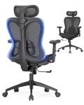 Ergonomic Mesh Desk Chair with Lumbar Support