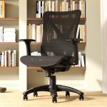 MOLENTS Ergonomic Mesh Office Chair with Lumbar Support