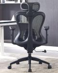 Ergonomic Mesh Desk Chair with Lumbar Support