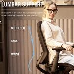 ELABEST Ergonomic Mesh Office Chair with Lumbar Support