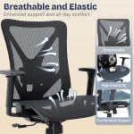 MOLENTS Ergonomic Mesh Office Chair with Lumbar Support
