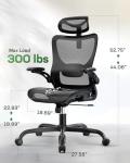 Marsail Ergonomic Mesh Office Chair with Lumbar Support