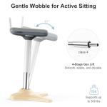 Ergonomic Adjustable Wobble Stool for Active Seating