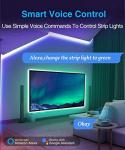 Smart LED WiFi Controller with RF Remote (2 Pack)