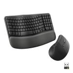 Logitech Wave Keyboard and Lift Mouse Combo