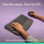 Logitech Wave Keyboard and Lift Mouse Combo