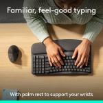 Logitech Wave Keyboard and Lift Mouse Combo