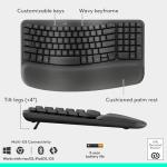 Logitech Wave Keyboard and Lift Mouse Combo
