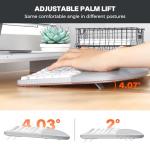 Wireless Ergonomic Keyboard and Vertical Mouse Combo