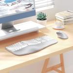 Wireless Ergonomic Keyboard and Vertical Mouse Combo