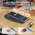 Wireless Ergonomic Keyboard and Mouse Set for Comfort