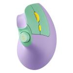 Seenda Rechargeable Vertical Ergonomic Wireless Mouse