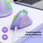 Seenda Rechargeable Vertical Ergonomic Wireless Mouse