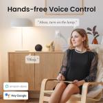 GHome Mini Smart Plug with Alexa and Google