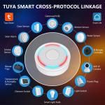 ZigBee and Bluetooth Hub for Tuya Devices