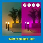 WiZ Elpas Bollard Smart WiFi Outdoor LED Path Light Starter Kit Compatible with Alexa, Google Assistant and Siri Shortcuts, Bluetooth Compatible, No Hub Required