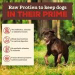 Primal Kibble in The Raw, Freeze Dried Dog Food, Chicken, Scoop & Serve, Made with Raw Protein, Whole Ingredient Nutrition, Crafted in The USA, Dry Dog Food 1.5 lb Bag
