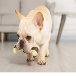 BETTEPROD Dog Chew Toys for Aggressive Chewers Large Breed,2 Pack Beef Flavor Indestructible Dog Teething Chew Toys Bones for Large/Medium/Small Puppies,Pet Toy with Nylon