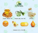 Oatmeal Dog Shampoo & Conditioner 17oz [USA] 5 in 1 Plant-Based Organic Sulfate-Free Soap-Free-Tearless Moisturizer for Dandruff Allergies & Itchy Dry Sensitive Skin-Puppy Grooming [Pro Pet Works]