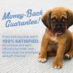 OLIVER'S CHOICE Dog Shampoo with Oatmeal, Aloe & Shea Butter – Deodorizing Puppy Shampoo for Smelly Dogs, Itchy Skin Relief, Paraben-Free, Biodegradable, Cruelty Free – 12 fl. oz