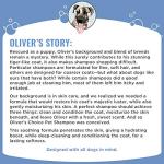 OLIVER'S CHOICE Dog Shampoo with Oatmeal, Aloe & Shea Butter – Deodorizing Puppy Shampoo for Smelly Dogs, Itchy Skin Relief, Paraben-Free, Biodegradable, Cruelty Free – 12 fl. oz