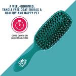 Wet Brush Pet Hair Brush, Smooth, Shiny Fur, Dog and Cat Hairbrush, De-Shedding Comb & Dematting Tool for Grooming Long or Short-Haired Dogs, Tangle-Free for Less Pulling & Tugging, Teal