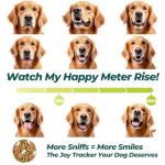 Wagorific Dog Enrichment Toys Interactive Dog Treat Puzzle, Squeaky Dog Toys, Machine Washable Puzzle Hide Treats for Slow Feeder, Made of Recycled Materials, All Breed Sizes