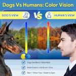 Kimee Dog Balls Tennis Ball Toys Dog Toys for Aggressive Chewers Durable Teething Chew Toys Water Toy Fetch Ball for Large Medium Small Dog and Puppies (4 Balls)