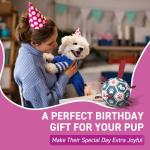 QDAN Premium Dog Balls Toys, Pet Training Soccer Ball with Straps, Puppy Birthday Gifts, Dog Water Toy, Durable Herding Balls for Small Medium Dogs, Pet Toys Puppy Ball (6 Inch)