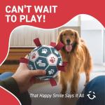 QDAN Premium Dog Balls Toys, Pet Training Soccer Ball with Straps, Puppy Birthday Gifts, Dog Water Toy, Durable Herding Balls for Small Medium Dogs, Pet Toys Puppy Ball (6 Inch)