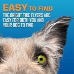 Nerf Dog Tire Flyer Dog Toy Gift Set, 10 Inch Flying Disc Dog Fetch Toys, Rubber Dog Toy for Medium Dogs and Large Dogs, Red, Translucent Green and Translucent Blue, 3 Count