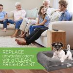 GREEN BREATHE ECO Odor Free Dog Bed | Luxury Memory Foam with Natures Activated Charcoal Odor Remover | Miracle Small Dog Bed [20" x 25"] | Water and Chew Resistant