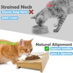 Premium Bamboo Raised Pet Feeder - 15 Degree Elevated Cat & Small Dog Bowls with 2 Ceramic Dishes, Non-Slip Base & 8 Silicone Pads, Eco-Friendly Ergonomic Food Stand for Kittens/Puppies
