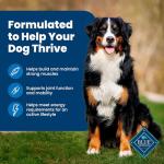 Blue Buffalo Life Protection Formula Adult Dry Dog Food, Helps Build and Maintain Strong Muscles, Made with Natural Ingredients, Chicken & Brown Rice Recipe, 5-lb. Bag