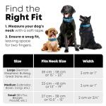 Regal Dog Products Small Light Blue Dog Collar with Heavy Duty Double Buckle & D Ring | Vinyl Coated, Custom Fit, Adjustable Biothane Dog Collar Chew Resistant Waterproof Collar for Dogs