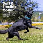 Regal Dog Products Small Light Blue Dog Collar with Heavy Duty Double Buckle & D Ring | Vinyl Coated, Custom Fit, Adjustable Biothane Dog Collar Chew Resistant Waterproof Collar for Dogs