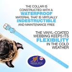 Regal Dog Products Small Light Blue Dog Collar with Heavy Duty Double Buckle & D Ring | Vinyl Coated, Custom Fit, Adjustable Biothane Dog Collar Chew Resistant Waterproof Collar for Dogs
