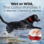 Regal Dog Products Large Red Dog Collar with Heavy Duty Double Buckle & D Ring | Vinyl Coated, Custom Fit, Adjustable Biothane Dog Collar | Chew Resistant Waterproof Center-Ring Collar for Dogs