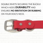 Regal Dog Products Large Red Dog Collar with Heavy Duty Double Buckle & D Ring | Vinyl Coated, Custom Fit, Adjustable Biothane Dog Collar | Chew Resistant Waterproof Center-Ring Collar for Dogs