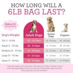 Dr. Harvey's Raw Vibrance Grain Free Dehydrated Foundation for Raw Diet Dog Food (6 Pounds)