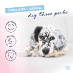 Benebone Puppy 2-Pack Maplestick/Zaggler Durable Dog Chew Toys for Gentle Chewers, Real Bacon, Real Maplewood, Made in USA, Tiny