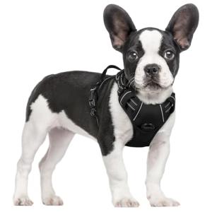 Rabbitgoo No-Pull Dog Harness with 2 Leash Clips
