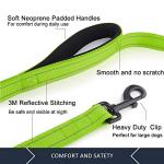 Plutus Double Handle Reflective Dog Leash 6ft