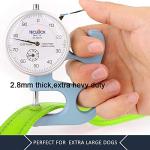 Plutus Double Handle Reflective Dog Leash 6ft